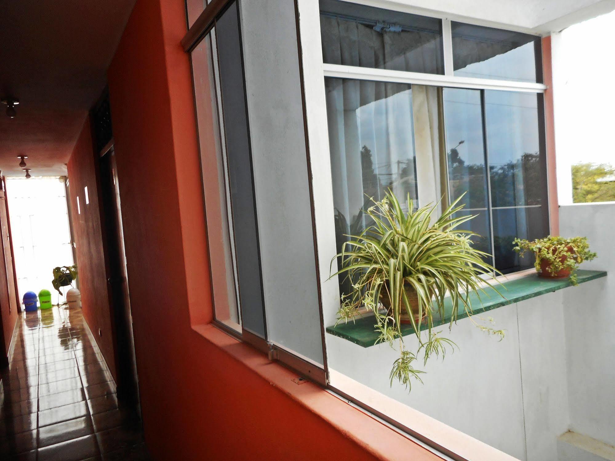 Hostal Geminis San Juan Bautista Kültér fotó